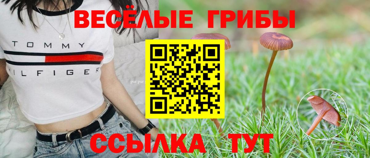 Котовск  Галлюциногенные грибы Psilocybe  наркота  Вход с VPN 