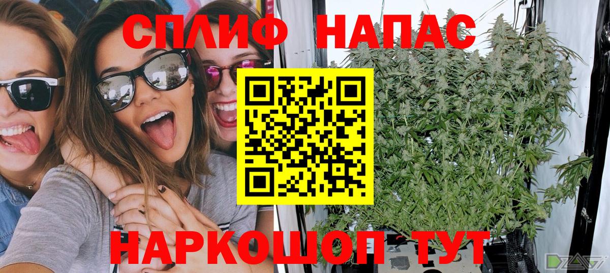 Котовск  Бошки Шишки White Widow  Бошки марихуана план  Бошки марихуана индика  Вход с VPN 